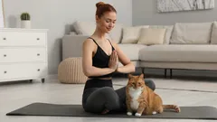 Vedeli ste, prečo mačky priťahuje pach ľudského potu?