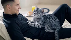 Ako mačky prejavujú náklonnosť: Ak to robia, ste ich obľúbeným človekom