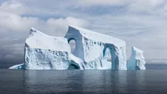 V Antarktíde objavili obrovské vajce neznámeho tvora