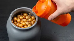 Ako prinútiť cibuľu rásť veľkú a zdravú: tri osvedčené triky bez zbytočných nákladov a námahy