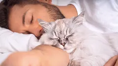 Ako si mačka vyberá svojho pána v rodine?